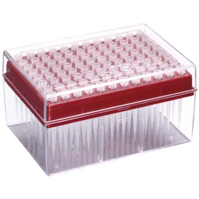 Đầu típ lọc Hyper 1000µL /1200µL WATSON